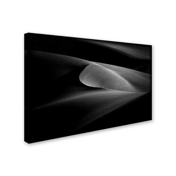 Mahdi Khadem 'Waves' Canvas Art,16x24